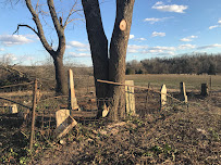Henderson Cemetery 01