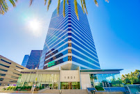 Network Capital 02