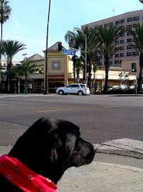 Wells Fargo Bank 04