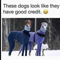 CreditAdvisor, Inc. 03