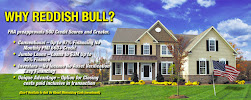 REDDISH BULL FINANCE, INC 01