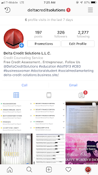 Delta Credit Solutions L.L.C. 03