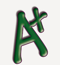 Aplus Financial Services, Inc. #17 03