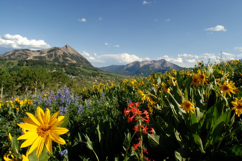 Premier Mountain Properties 01