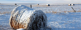 AgCountry Farm Credit Services 03