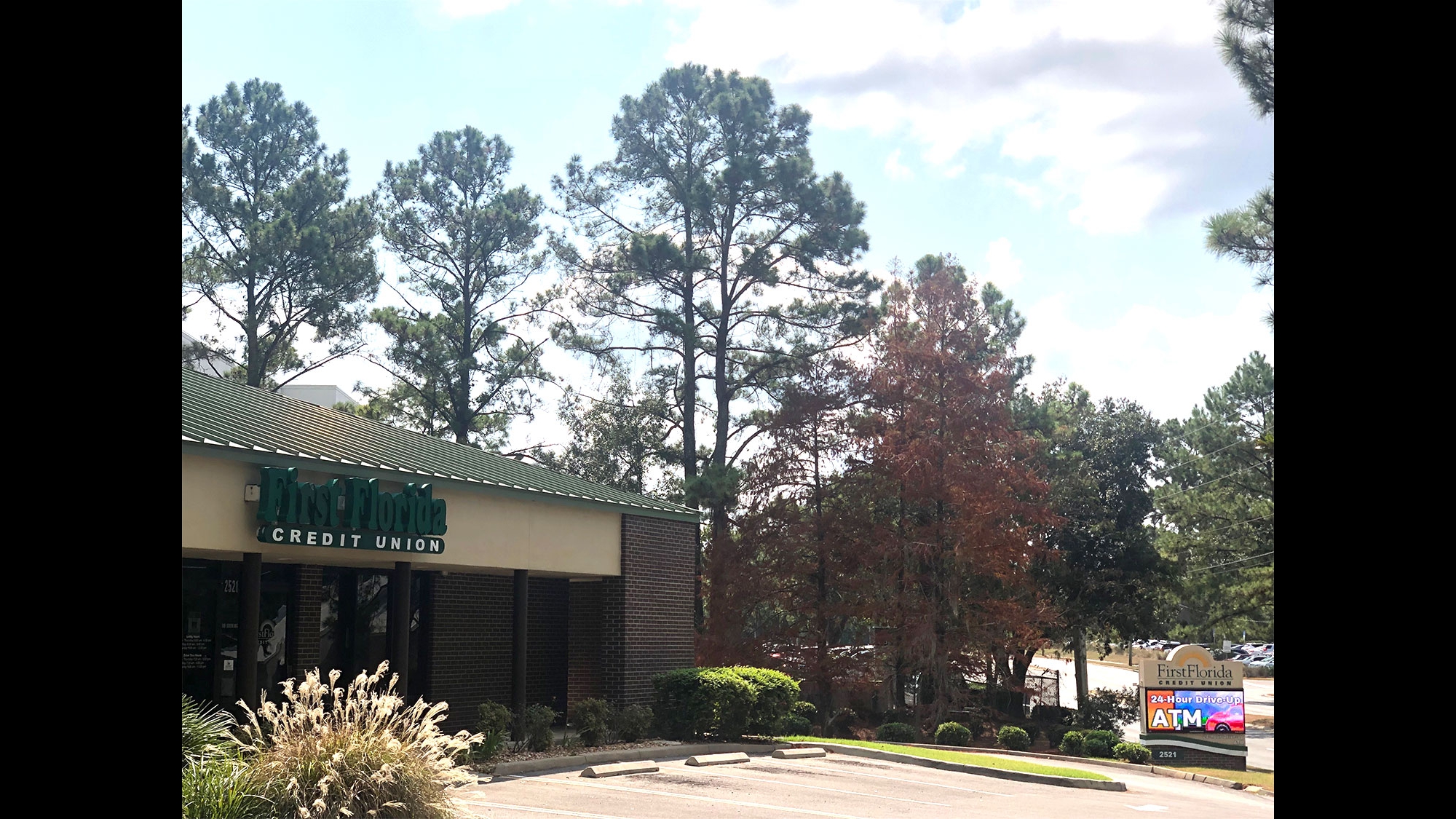 First Florida Credit Union 01
