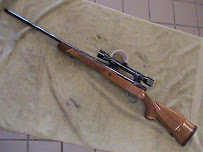 Action Pawn and Gun 03