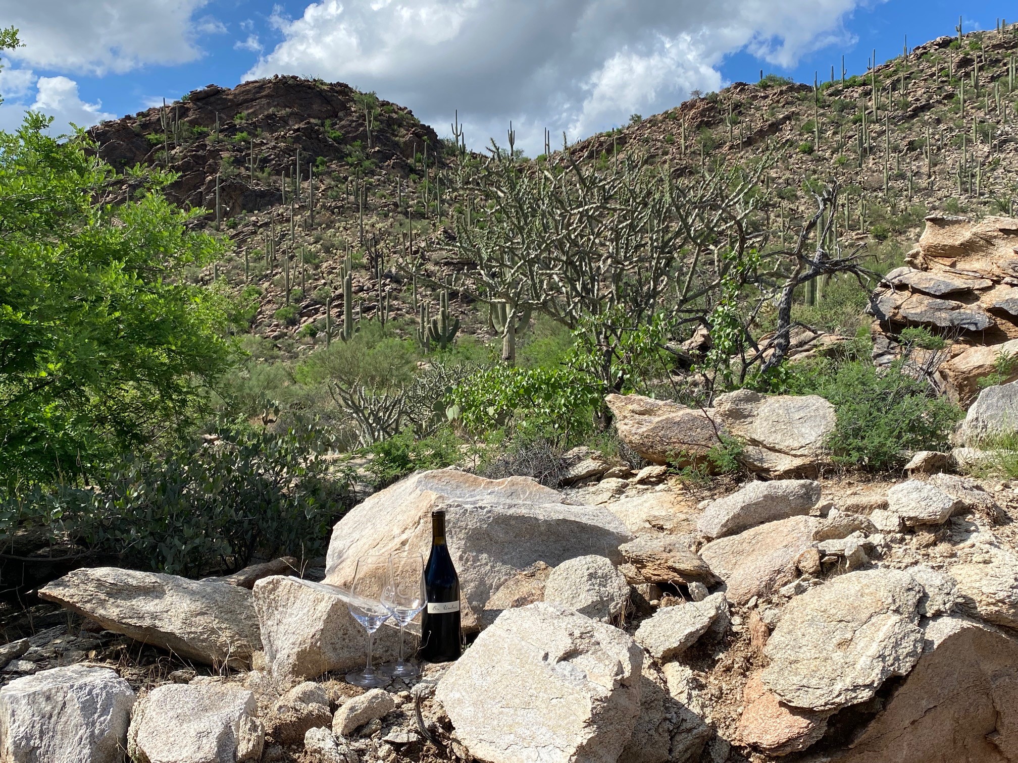 Tierra Antigua Realty - Nolan Watson - Realtor - NW Tucson, Oro Valley, and Marana 01