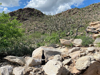 Tierra Antigua Realty - Nolan Watson - Realtor - NW Tucson, Oro Valley, and Marana 01
