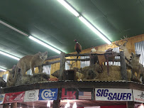 Northeast Super Pawn, LLC 03