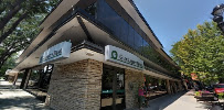 Main Street Investments Inc 02