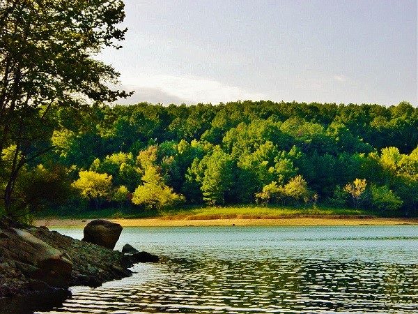 Greater Nolin Lake Realty Group 01