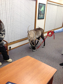 Spirit of Alaska Federal Credit Union 02