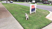 State Employees’ Credit Union 01