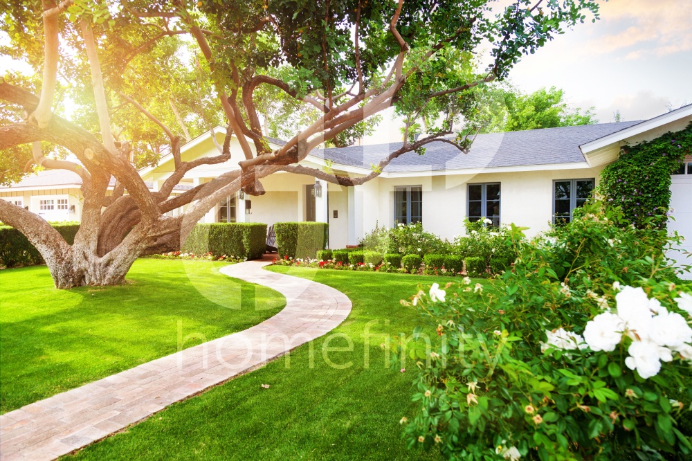 Homefinity 01