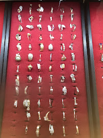 Easy Money Pawn & Jewelry Pawn Shop 01
