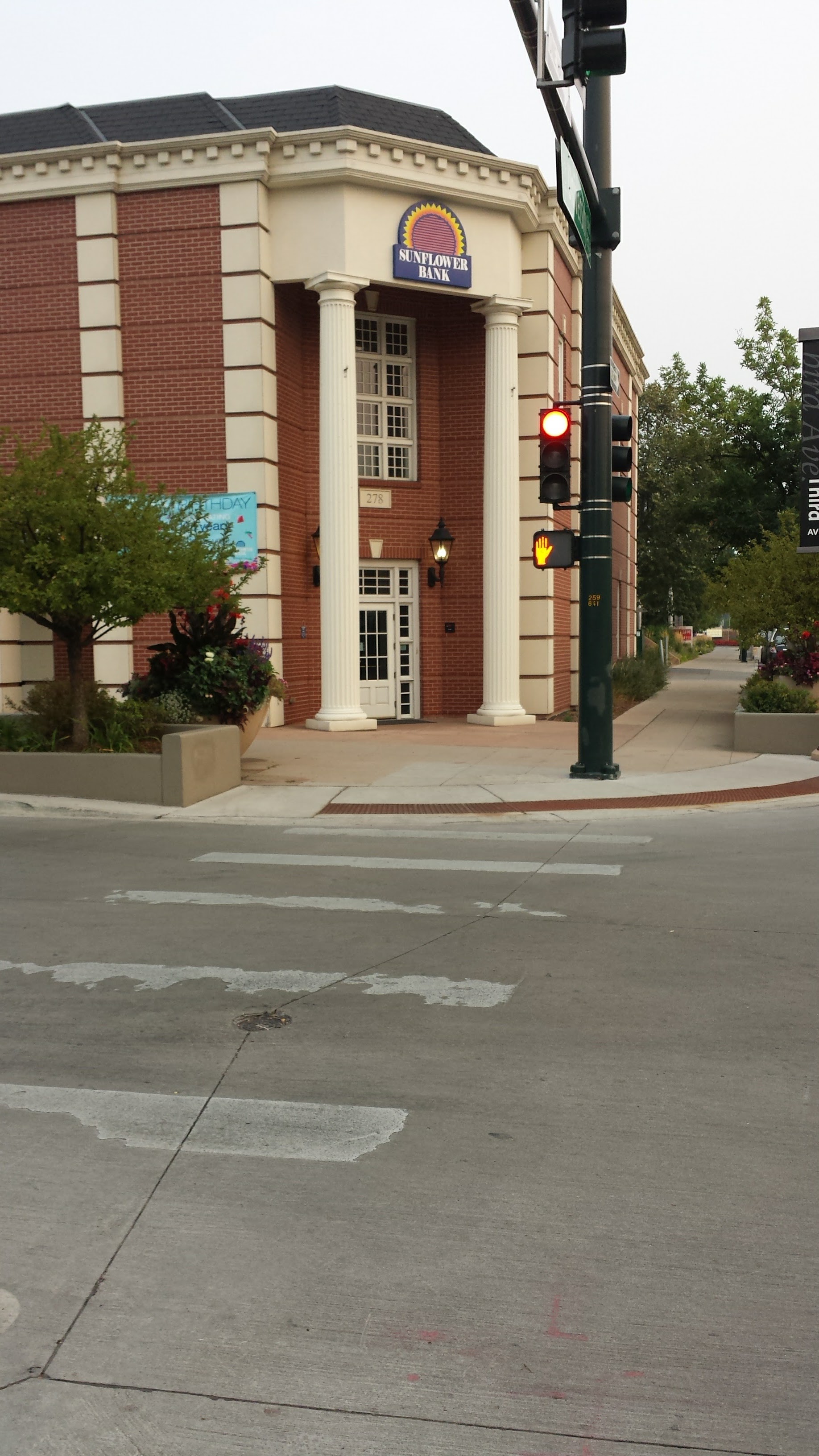 Sunflower Bank 01