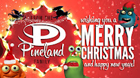Pineland Telephone Co-Op Inc 03