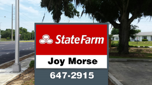 State Farm: Joy Morse 01