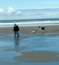 Grayland Beach State Park 01
