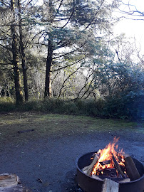 Grayland Beach State Park 02