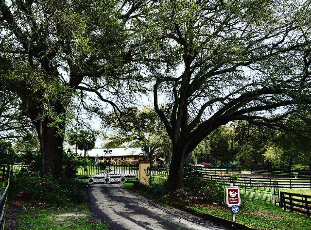 Rohara Arabian Farms 01