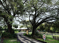 Rohara Arabian Farms 01