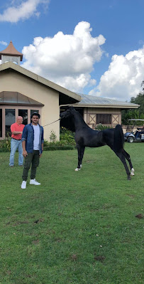Rohara Arabian Farms 02