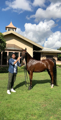 Rohara Arabian Farms 04