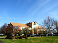 SHELTON FINANCIAL MANAGEMENT LLC 01