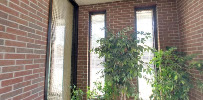 The Bank of Southside Virginia 02