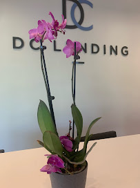 Tracey Jeffries DC Lending 04
