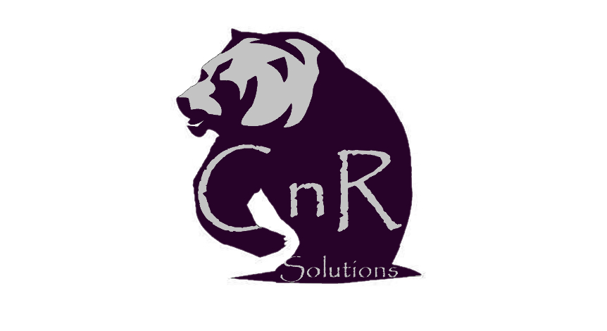 CNR Solutions 01