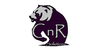 CNR Solutions 01