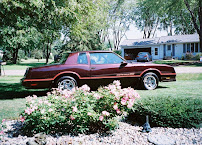 Barry's Automotive 02