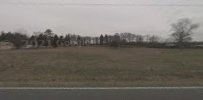 Tarheel Land Timber Inc 01