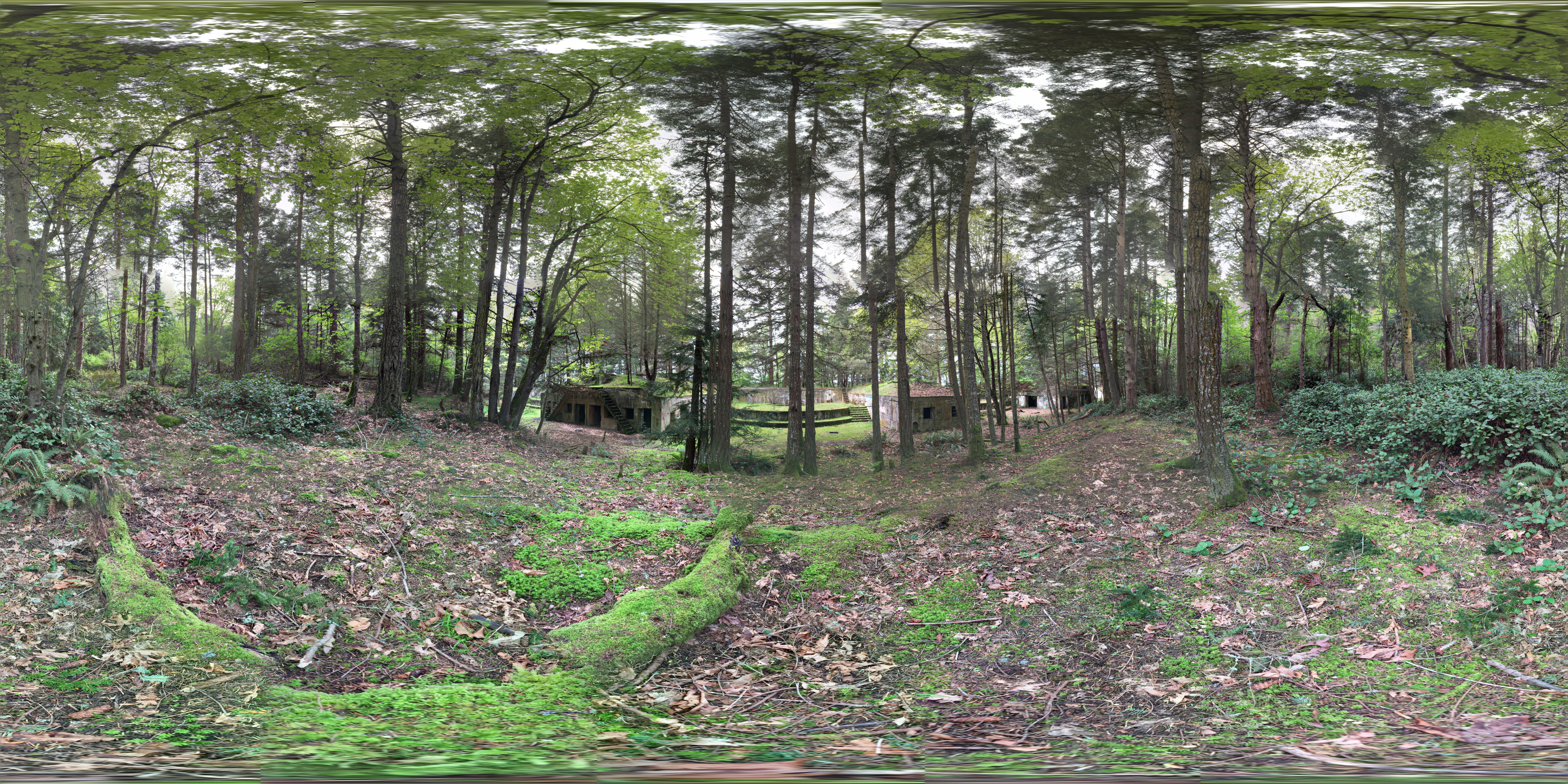 Fort Whitman 01