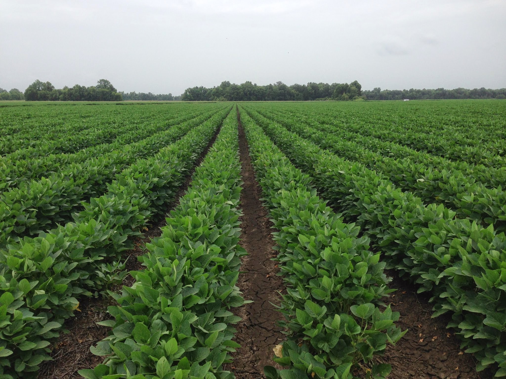 Agriworld Inc 01