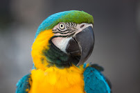 Parrott Wealth Management 02