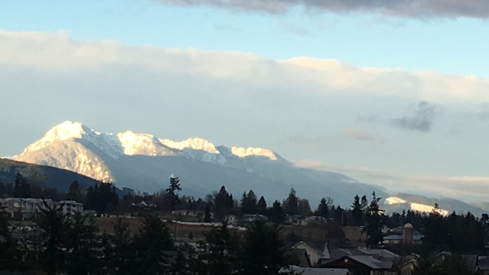 Trisha Cobb, Sequim Broker 01