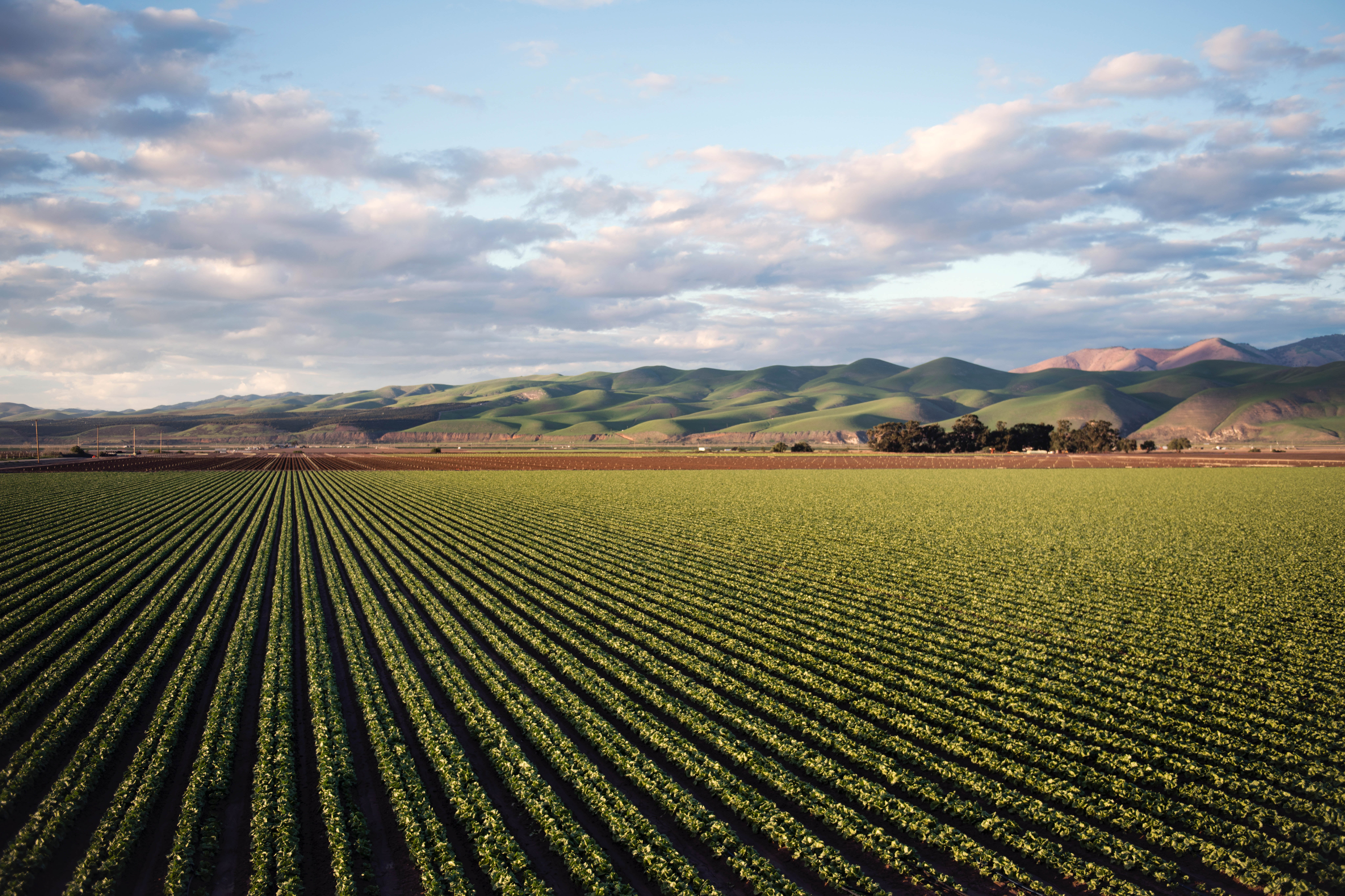 AgWest Group 01