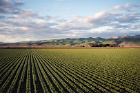 AgWest Group 01